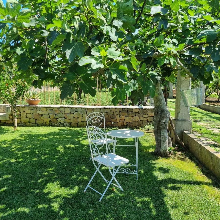 Cicia Holiday home